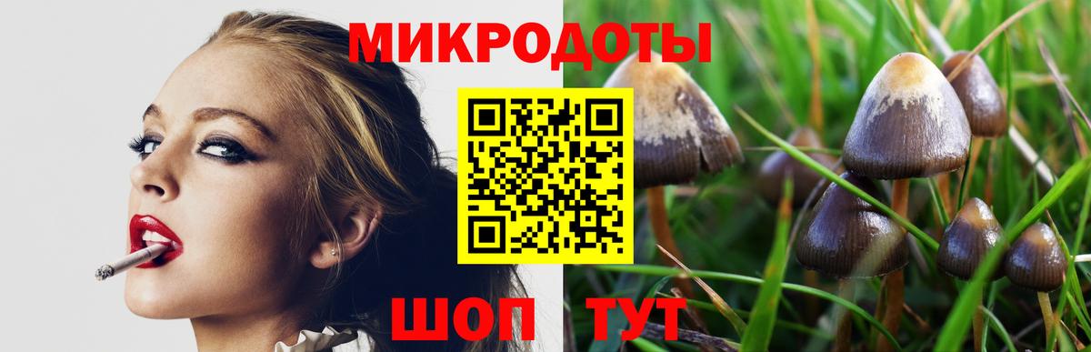 Псилоцибиновые грибы Psilocybine cubensis  Вход с VPN  Сорочинск 